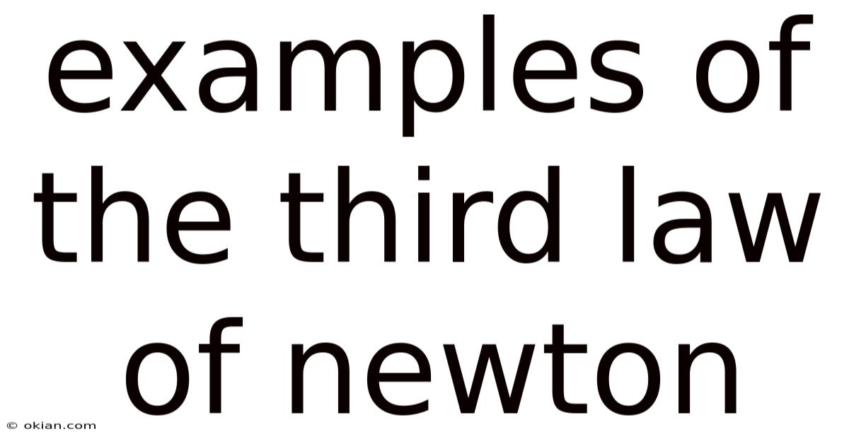 Examples Of The Third Law Of Newton