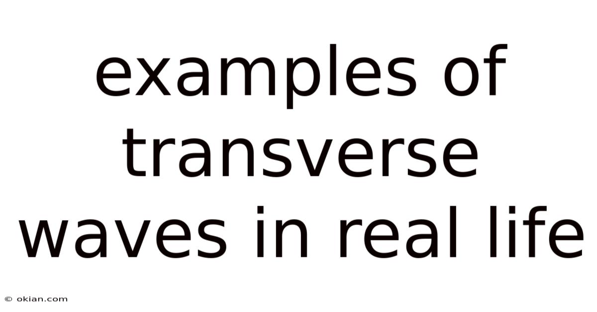 Examples Of Transverse Waves In Real Life