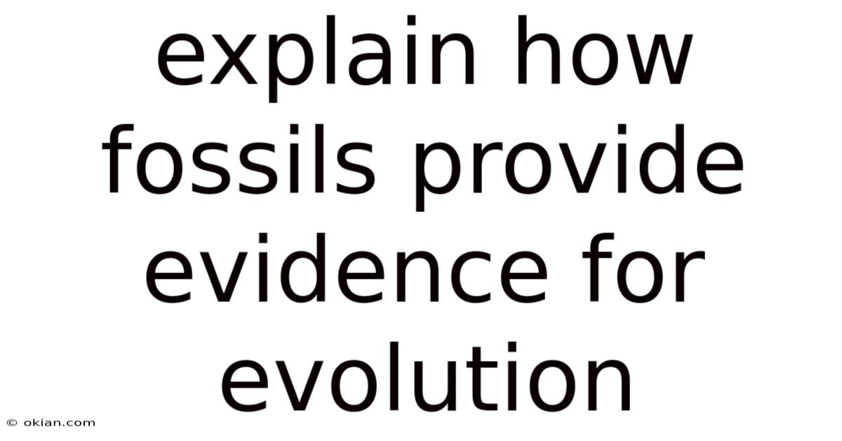 Explain How Fossils Provide Evidence For Evolution