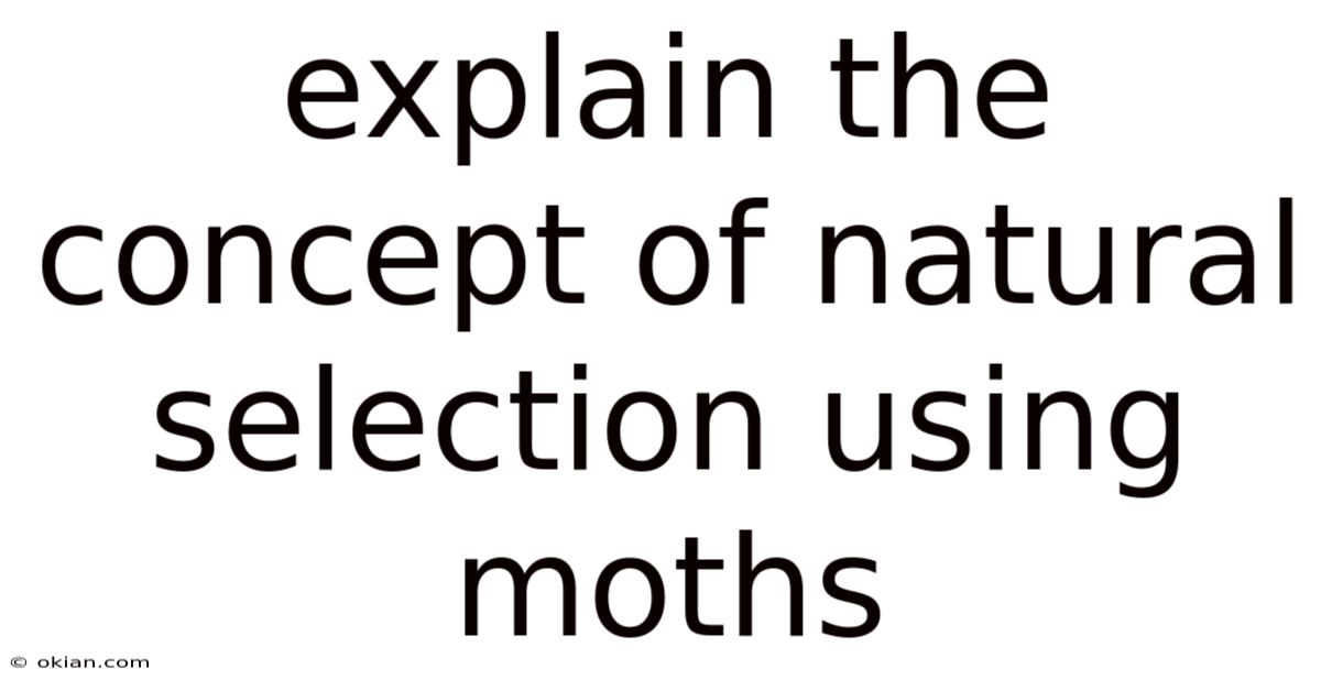 Explain The Concept Of Natural Selection Using Moths