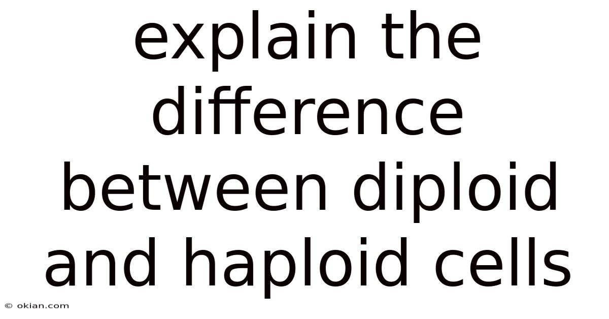 Explain The Difference Between Diploid And Haploid Cells