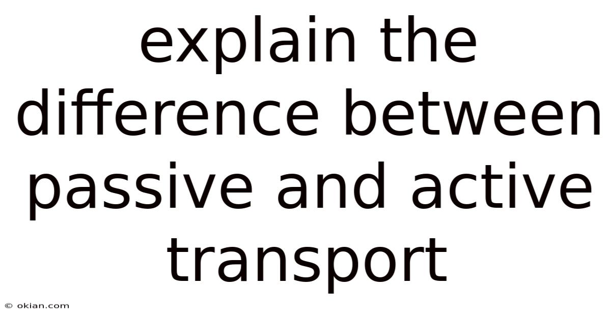 Explain The Difference Between Passive And Active Transport