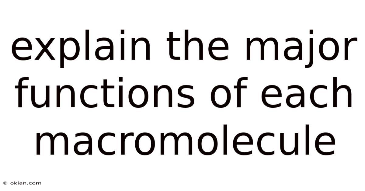 Explain The Major Functions Of Each Macromolecule