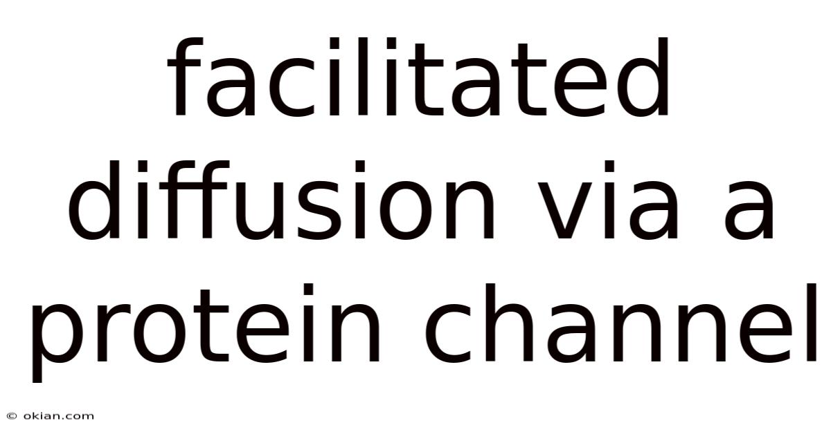 Facilitated Diffusion Via A Protein Channel