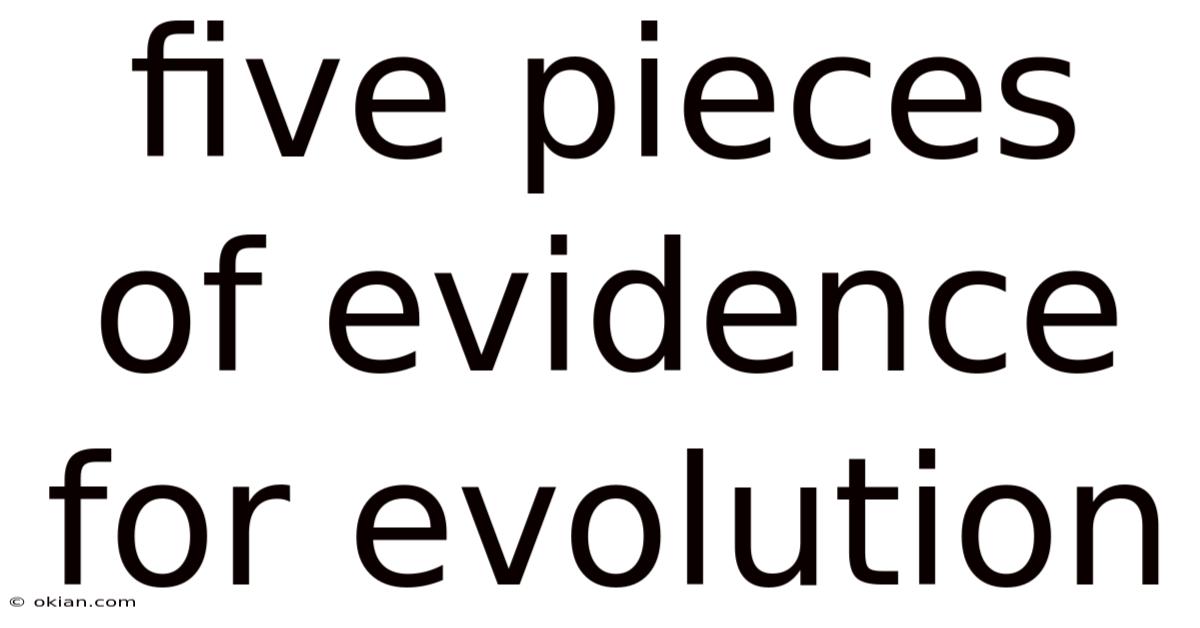 Five Pieces Of Evidence For Evolution