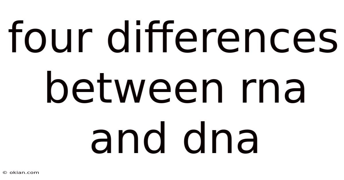 Four Differences Between Rna And Dna