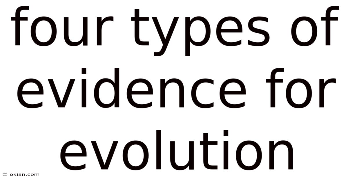 Four Types Of Evidence For Evolution