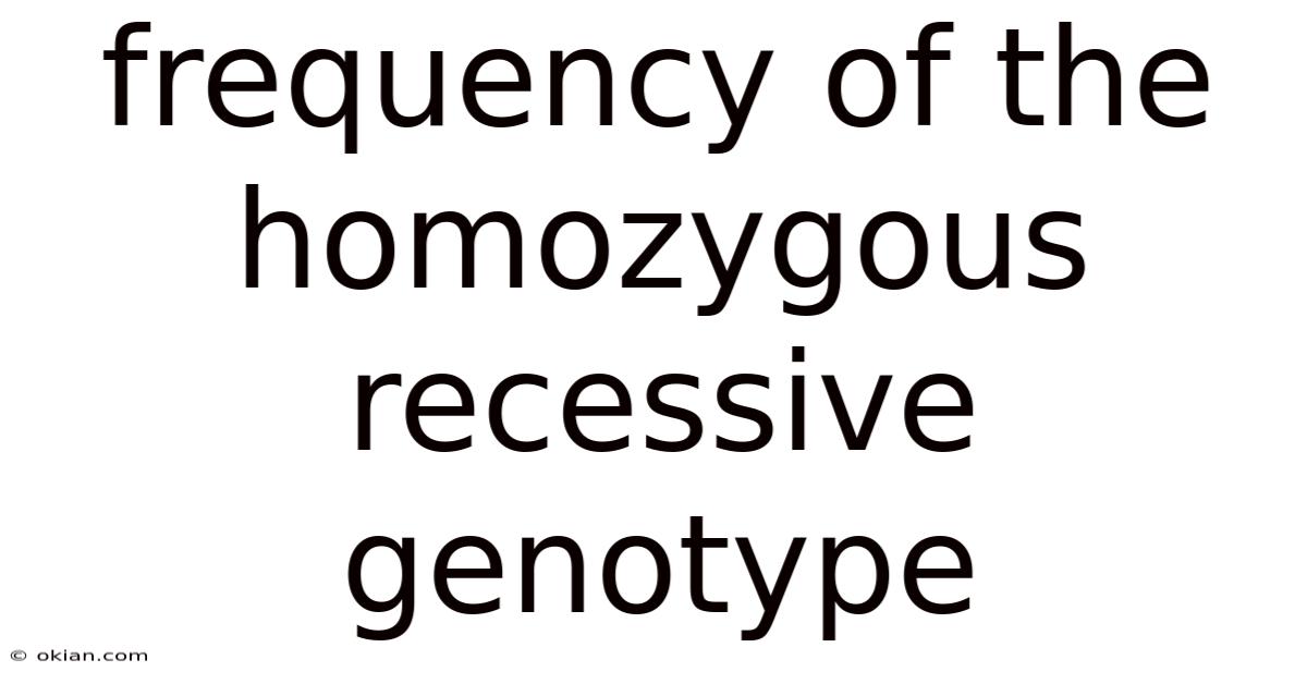 Frequency Of The Homozygous Recessive Genotype