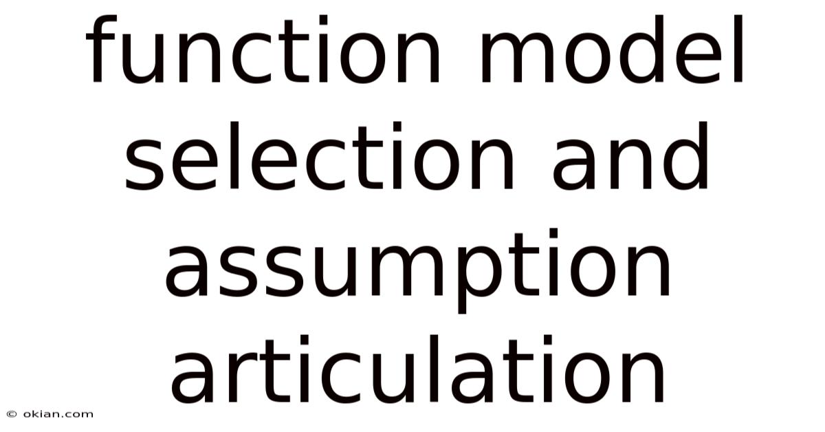 Function Model Selection And Assumption Articulation