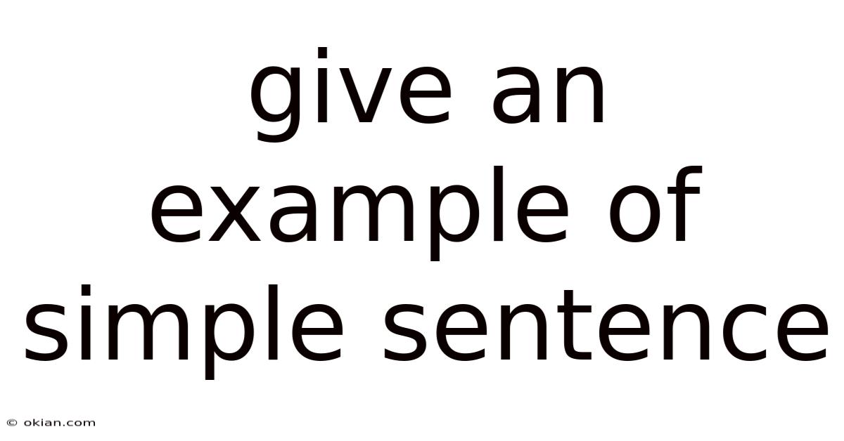 Give An Example Of Simple Sentence