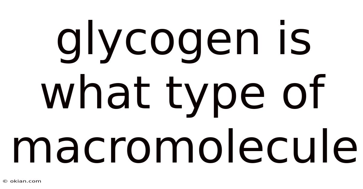 Glycogen Is What Type Of Macromolecule