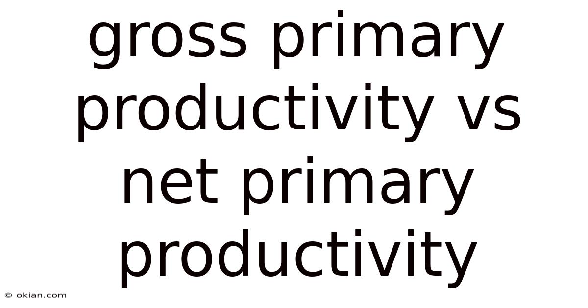 Gross Primary Productivity Vs Net Primary Productivity