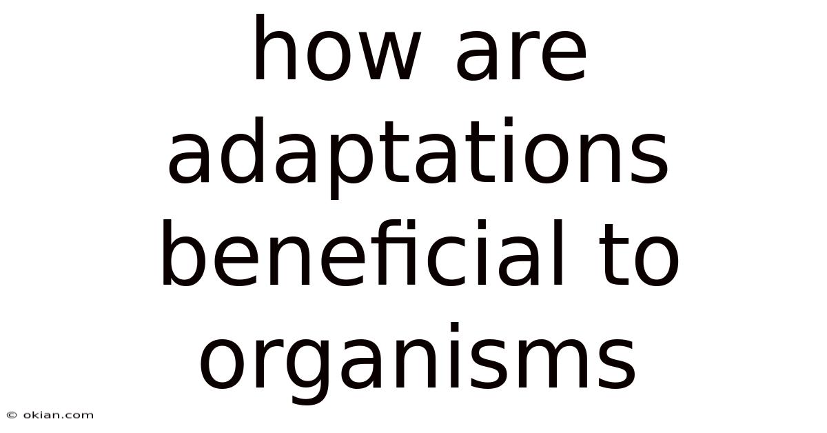 How Are Adaptations Beneficial To Organisms