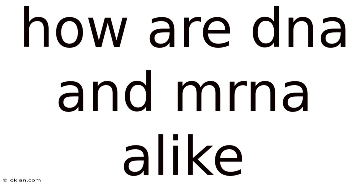How Are Dna And Mrna Alike