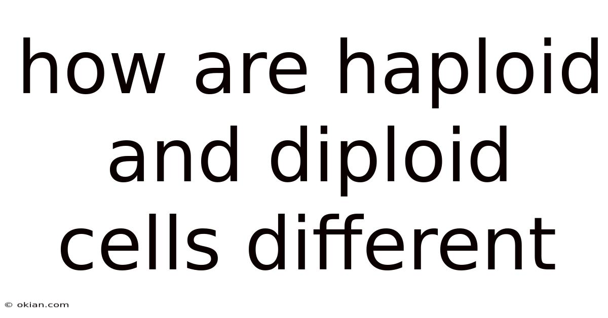 How Are Haploid And Diploid Cells Different
