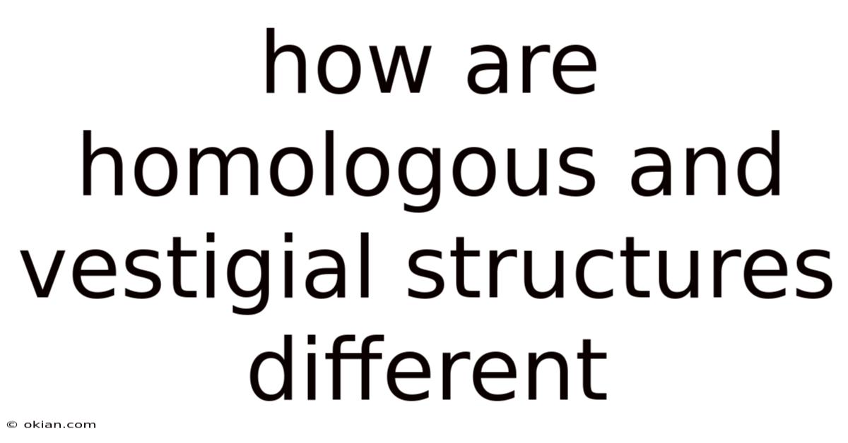 How Are Homologous And Vestigial Structures Different