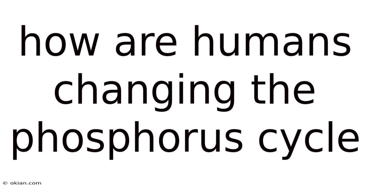 How Are Humans Changing The Phosphorus Cycle