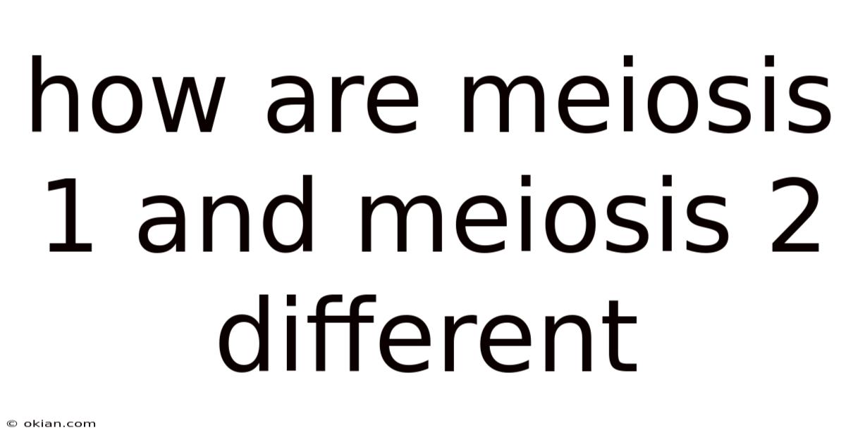 How Are Meiosis 1 And Meiosis 2 Different