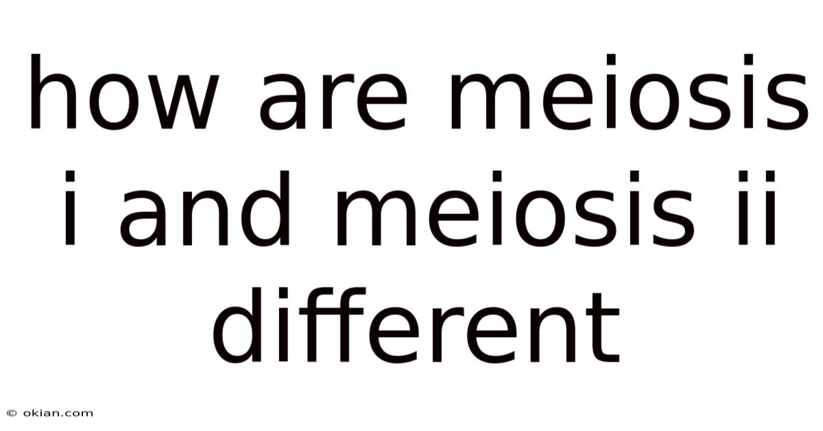 How Are Meiosis I And Meiosis Ii Different