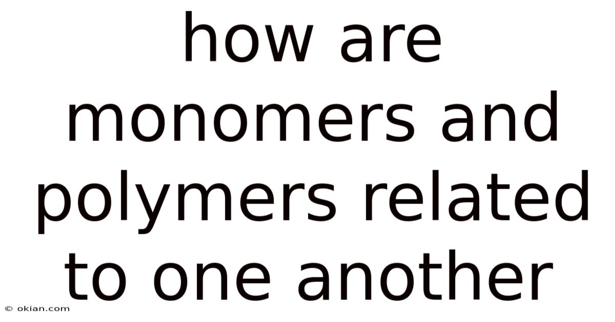How Are Monomers And Polymers Related To One Another