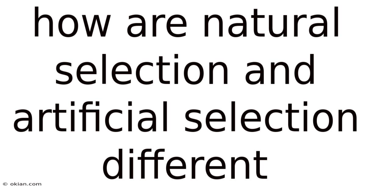 How Are Natural Selection And Artificial Selection Different