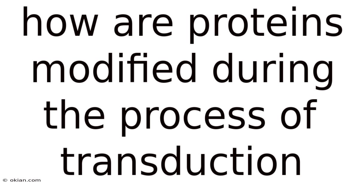How Are Proteins Modified During The Process Of Transduction