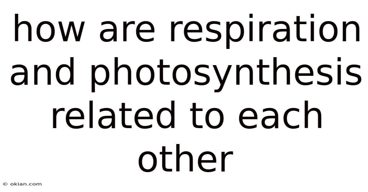 How Are Respiration And Photosynthesis Related To Each Other