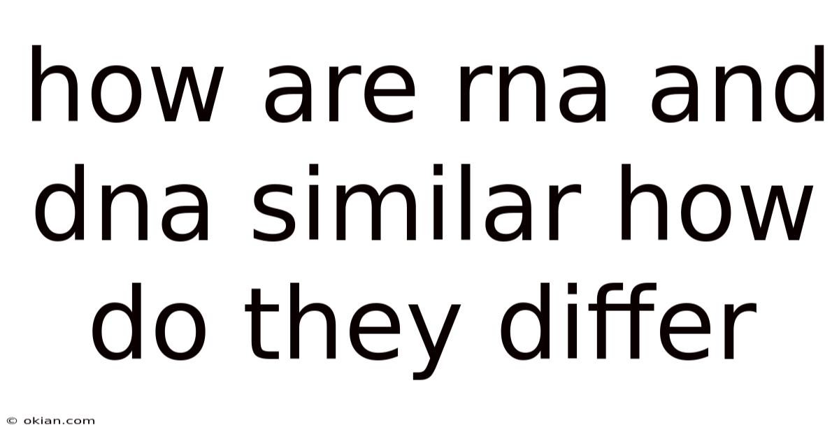 How Are Rna And Dna Similar How Do They Differ