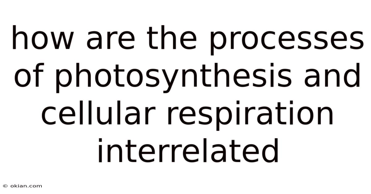 How Are The Processes Of Photosynthesis And Cellular Respiration Interrelated
