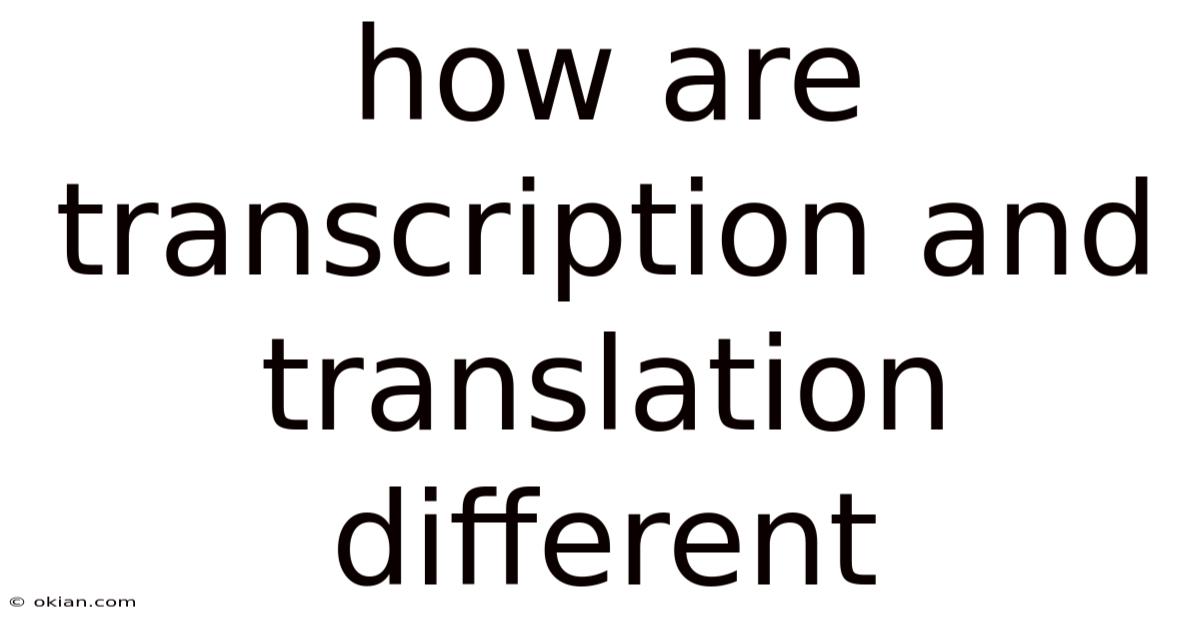 How Are Transcription And Translation Different