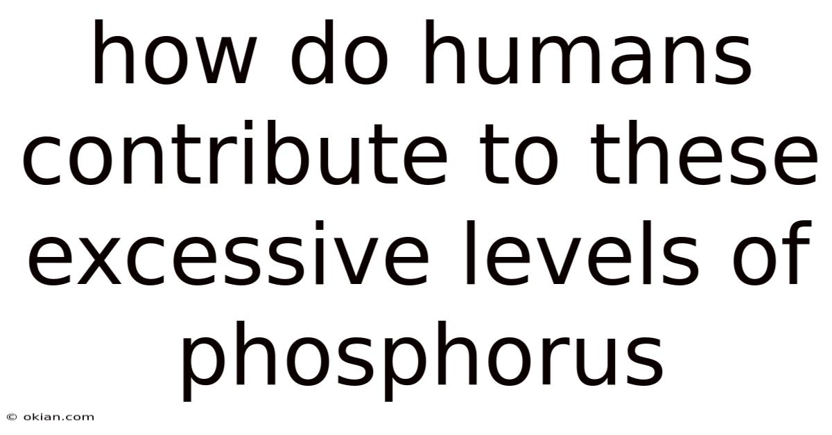 How Do Humans Contribute To These Excessive Levels Of Phosphorus