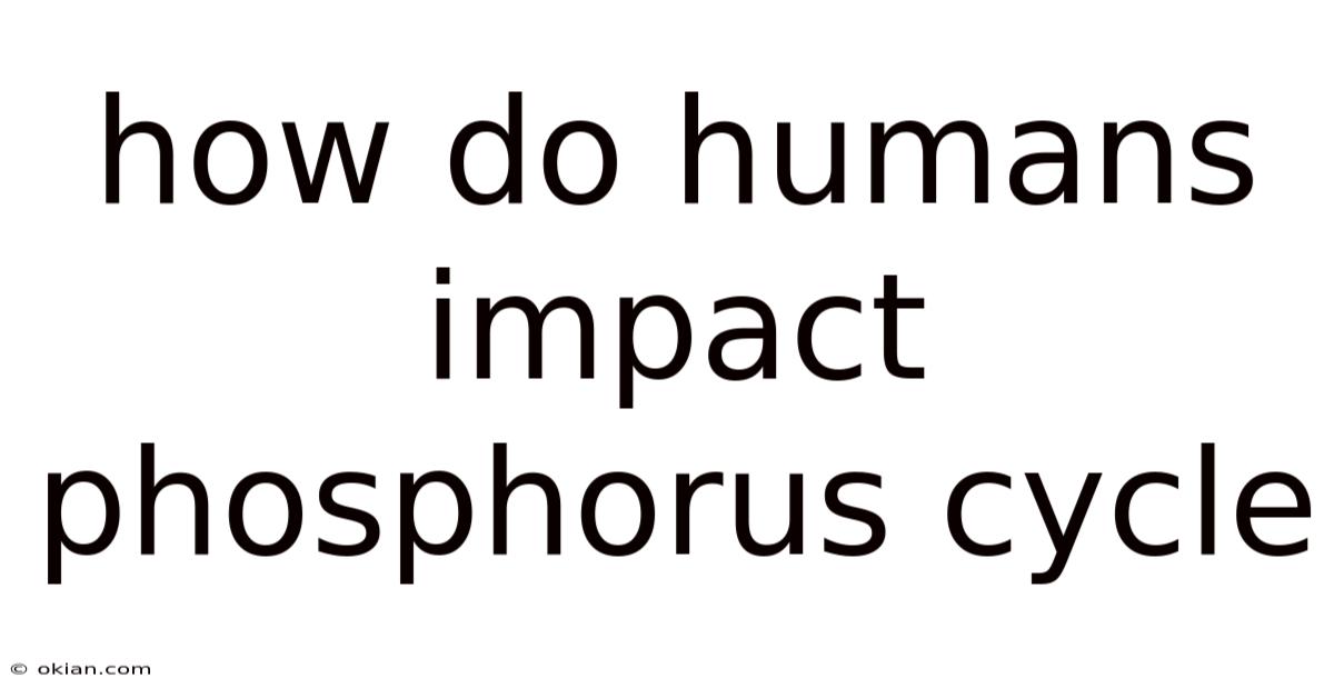 How Do Humans Impact Phosphorus Cycle