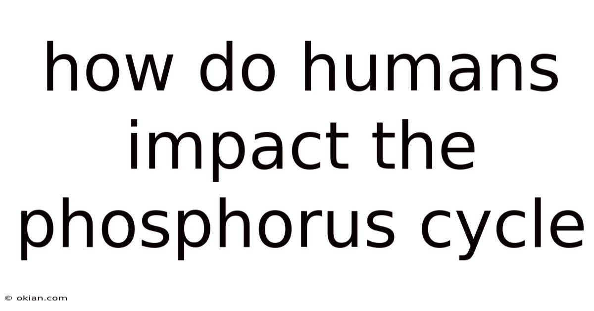 How Do Humans Impact The Phosphorus Cycle