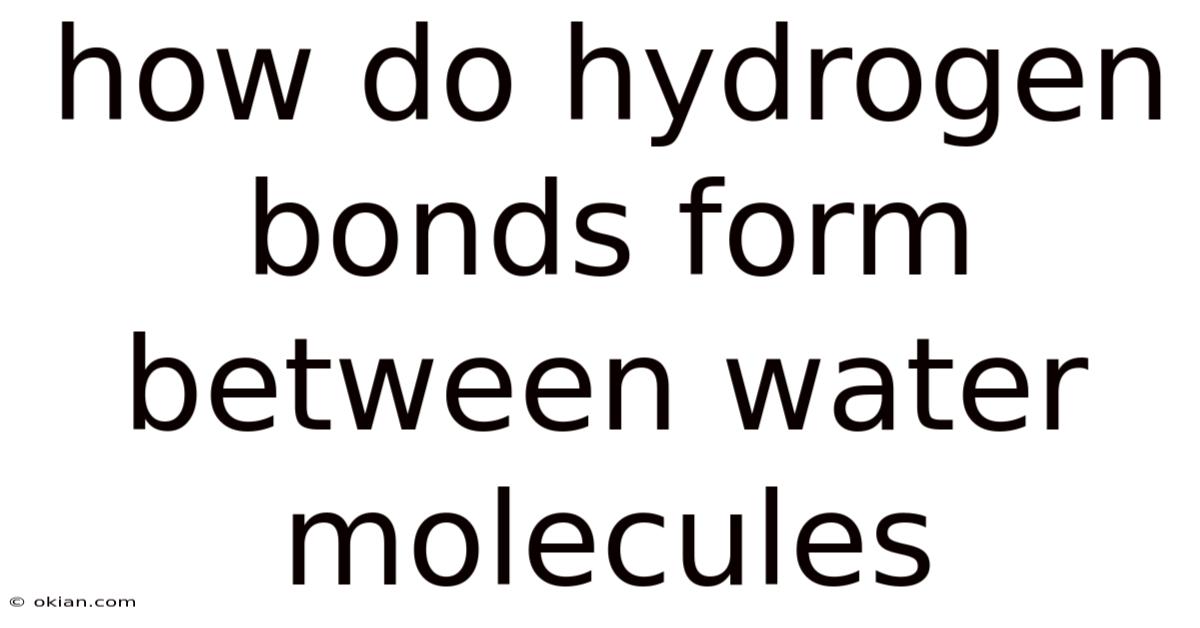 How Do Hydrogen Bonds Form Between Water Molecules