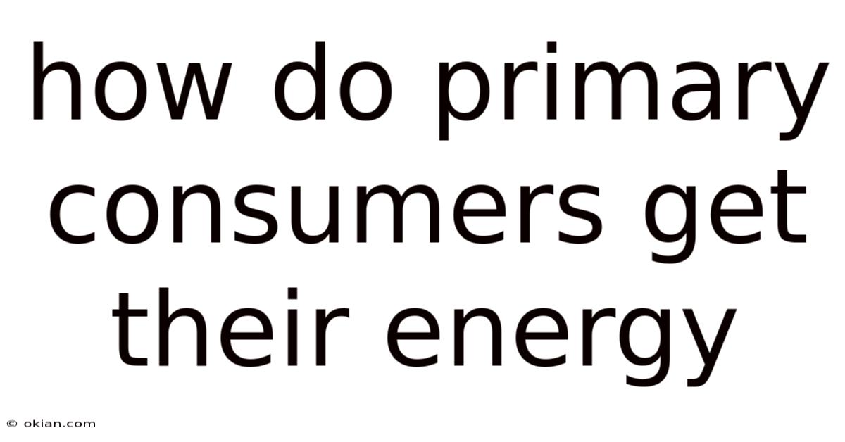 How Do Primary Consumers Get Their Energy