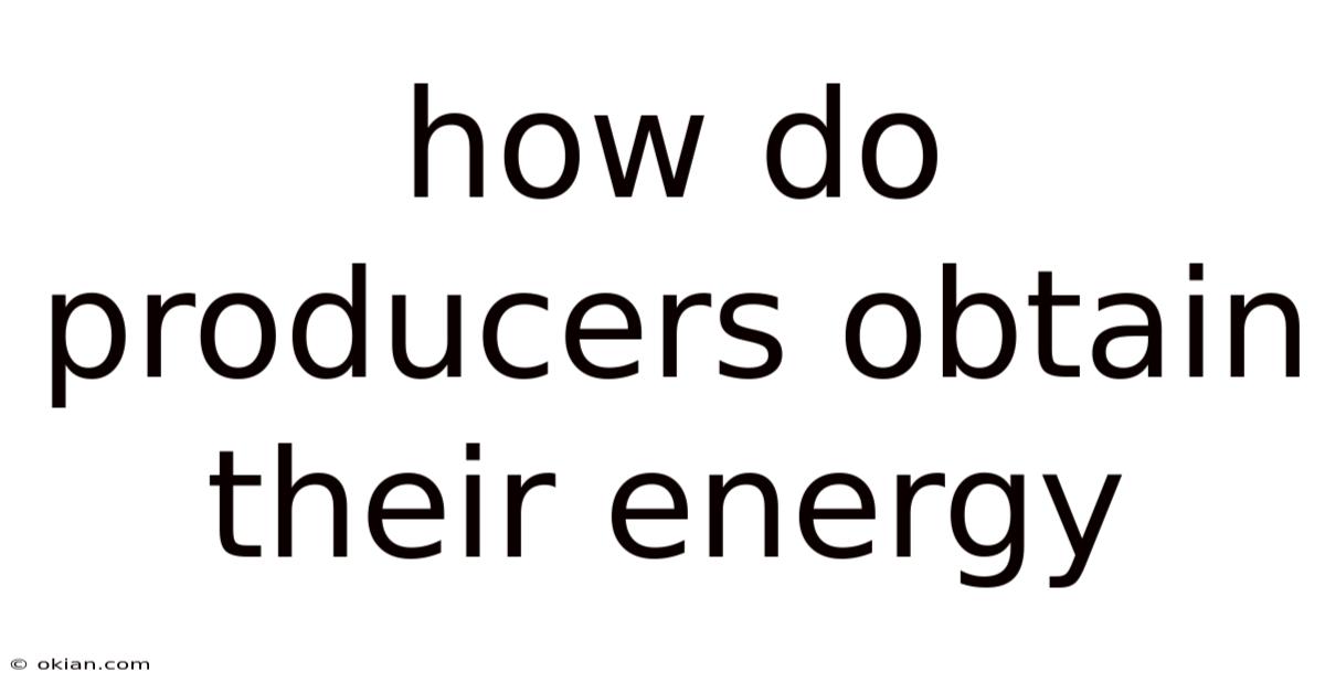 How Do Producers Obtain Their Energy
