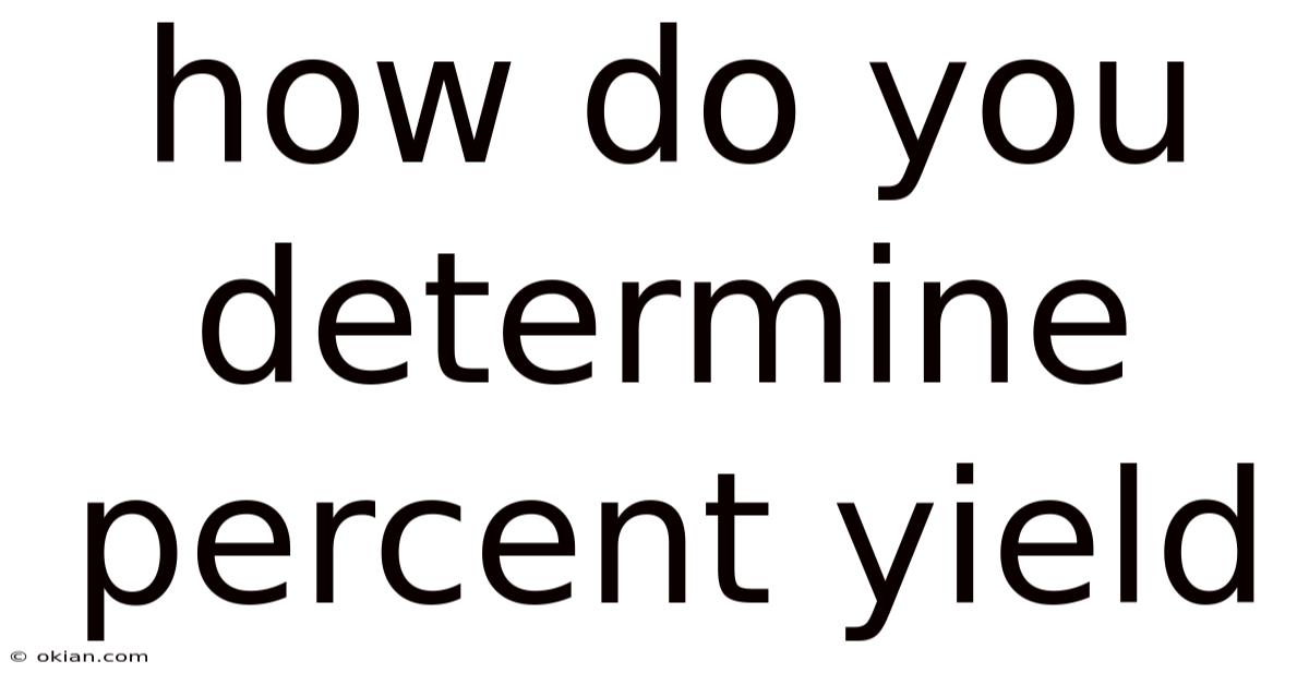 How Do You Determine Percent Yield