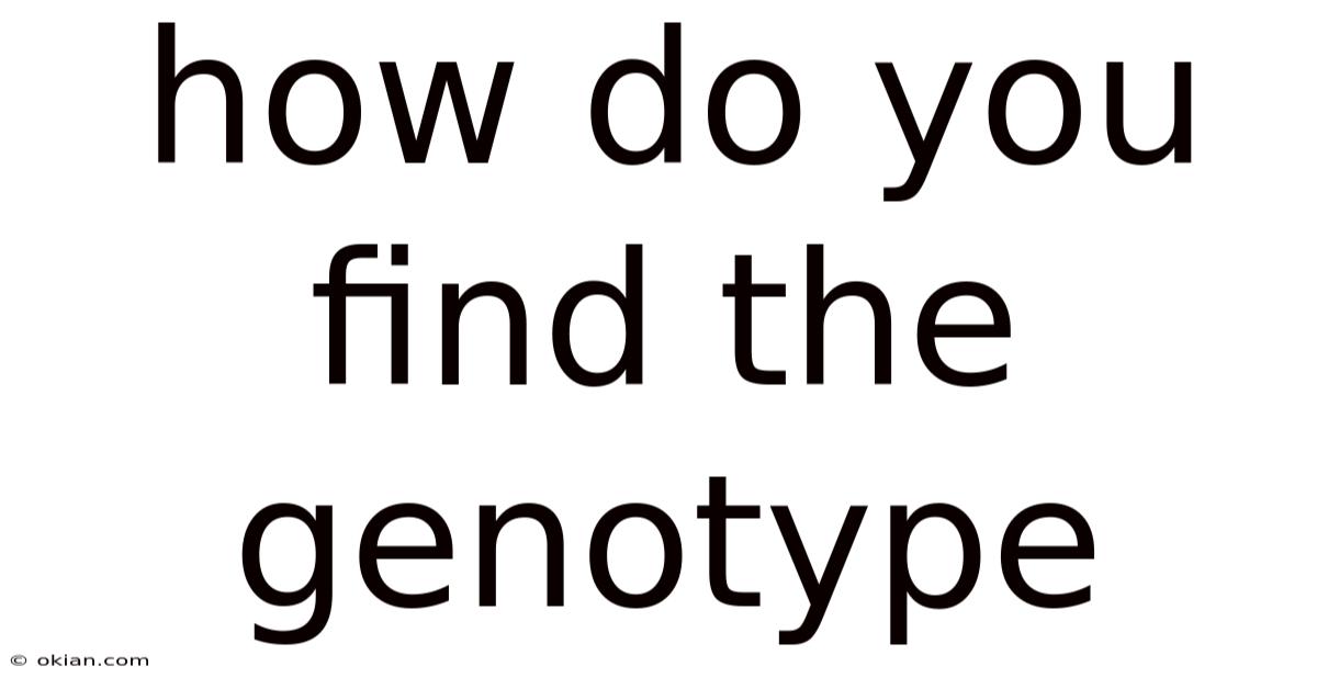 How Do You Find The Genotype
