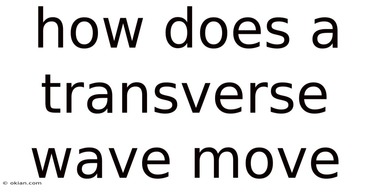How Does A Transverse Wave Move
