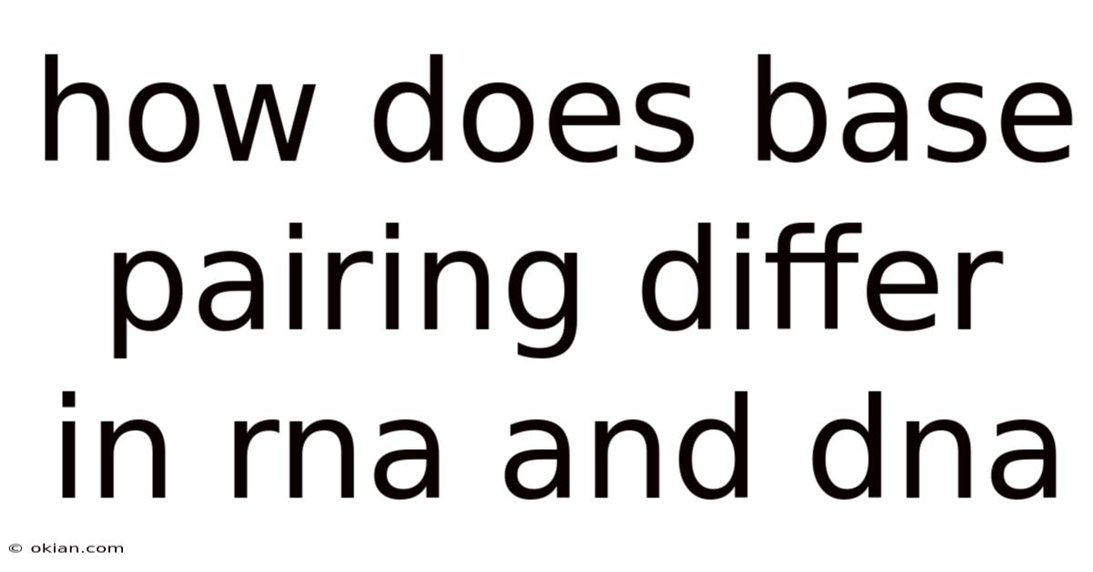 How Does Base Pairing Differ In Rna And Dna