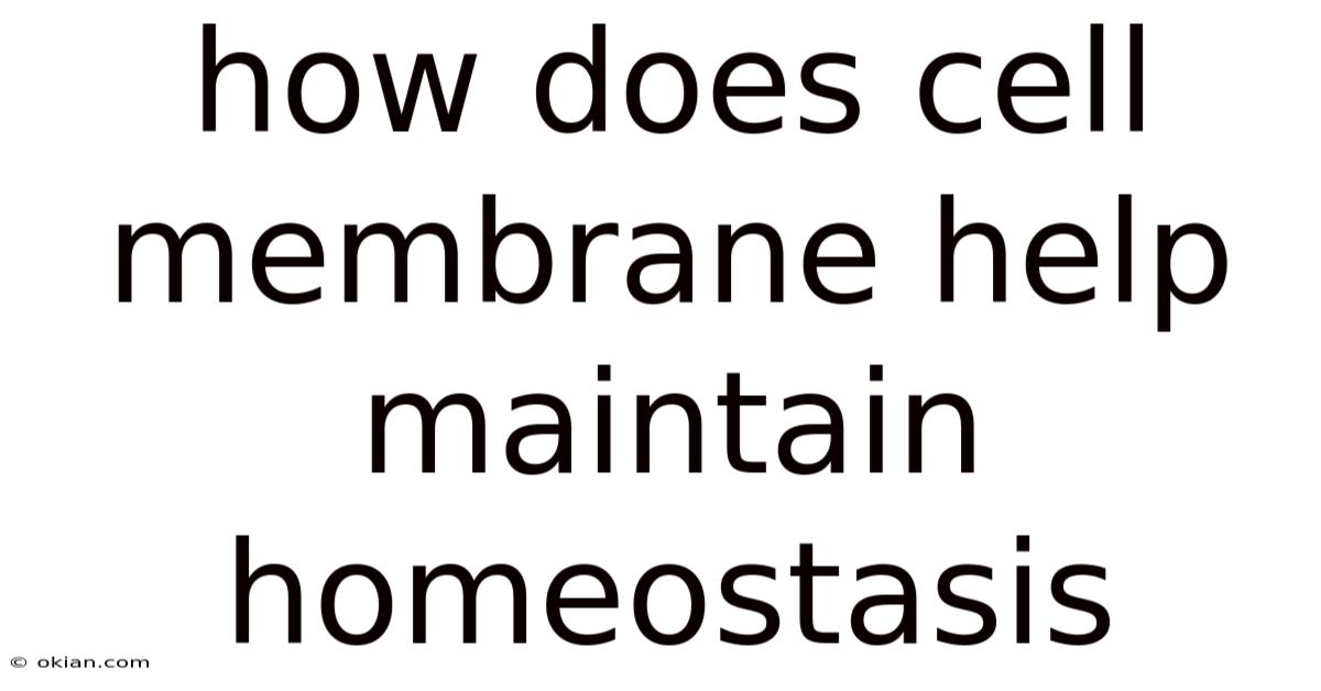 How Does Cell Membrane Help Maintain Homeostasis