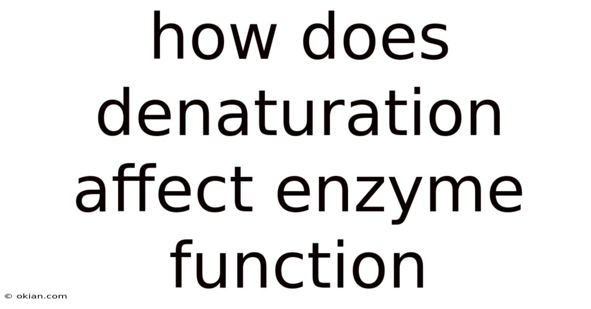 How Does Denaturation Affect Enzyme Function
