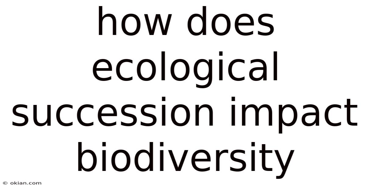 How Does Ecological Succession Impact Biodiversity