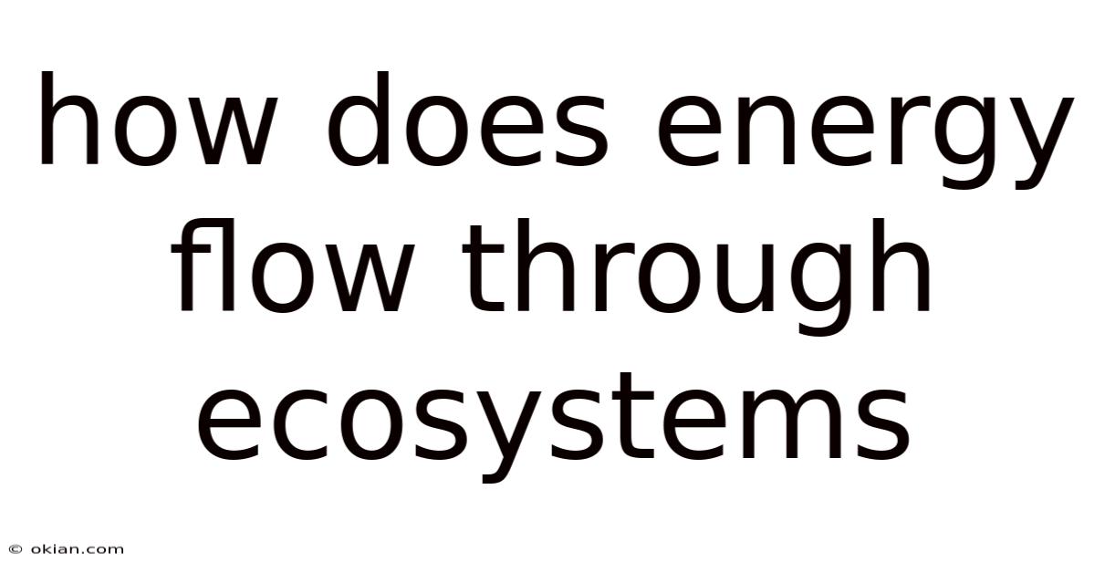 How Does Energy Flow Through Ecosystems