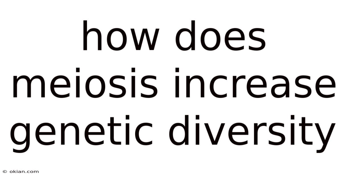 How Does Meiosis Increase Genetic Diversity