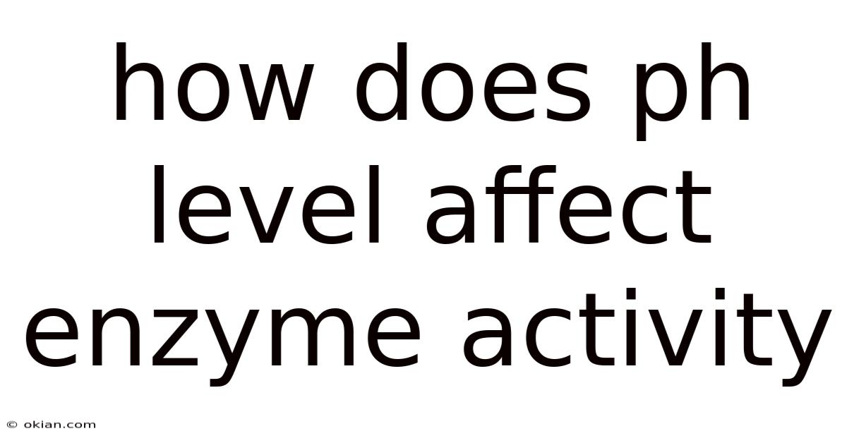 How Does Ph Level Affect Enzyme Activity