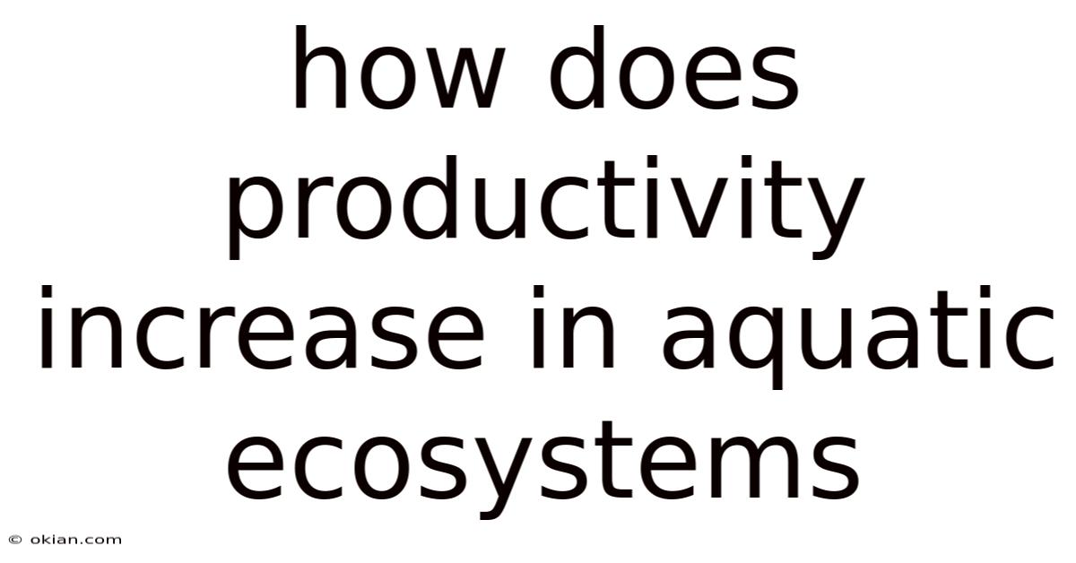 How Does Productivity Increase In Aquatic Ecosystems