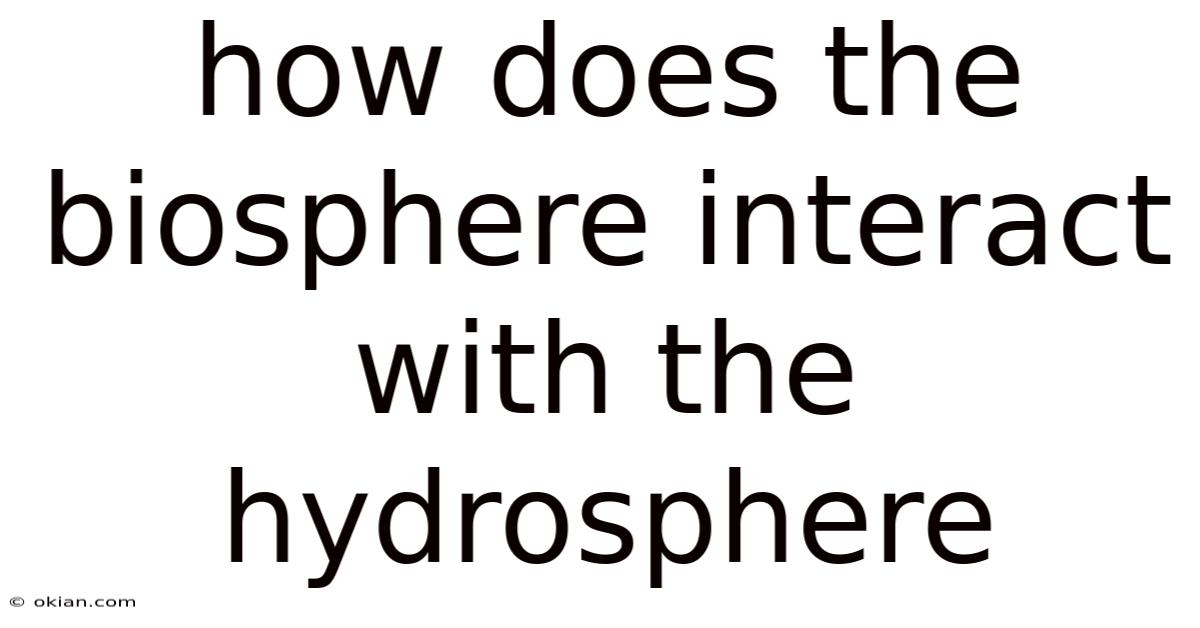 How Does The Biosphere Interact With The Hydrosphere