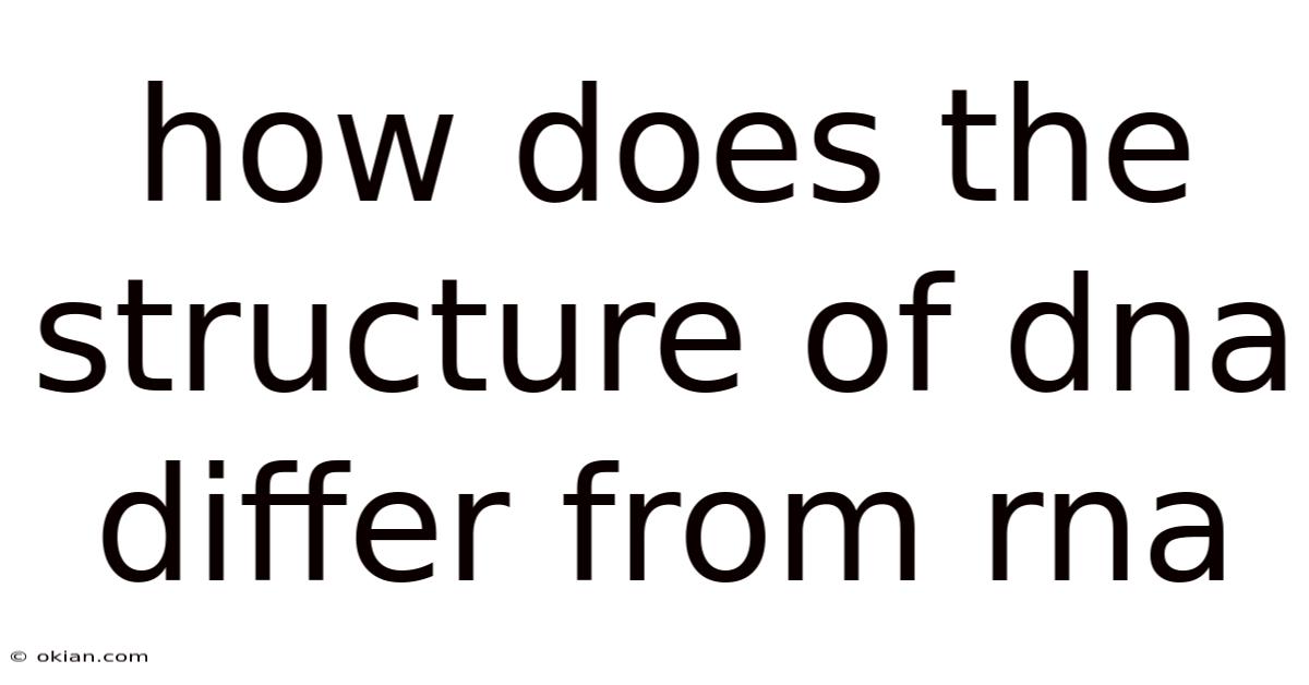How Does The Structure Of Dna Differ From Rna