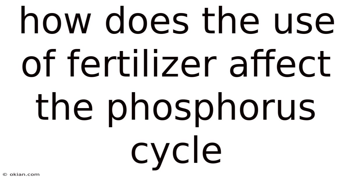 How Does The Use Of Fertilizer Affect The Phosphorus Cycle